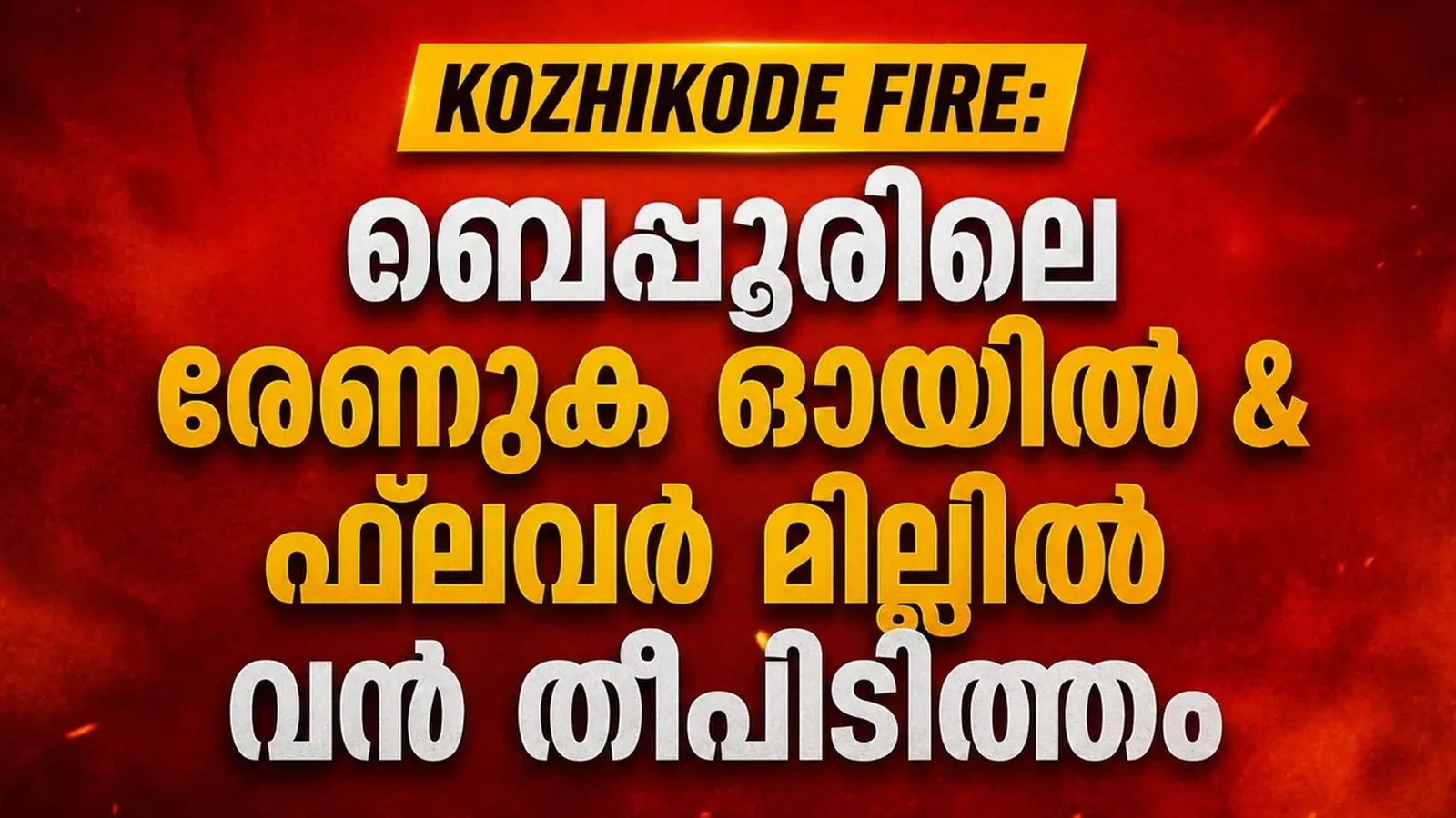 Kozhikode Fire: ബേപ്പൂരിലെ രേണുക ഓയിൽ  ഫ്ലവർ മില്ലിൽ വൻ തീപിടിത്തം